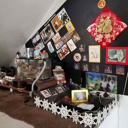 Jalan Sembilang (D20), Detached #458375211